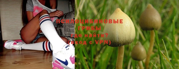 стафф Белоозёрский