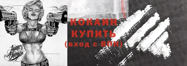 ECSTASY Богданович