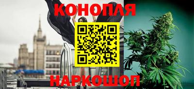 прущие крисы Кимры