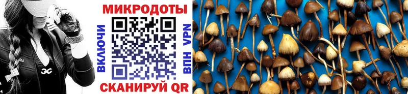 Галлюциногенные грибы прущие грибы  omg вход  Бутурлиновка 